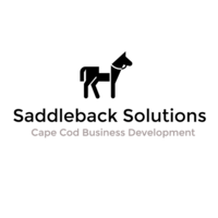 Saddleback Solutions LLC logo, Saddleback Solutions LLC contact details