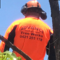 Advance Tree Works Pty Ltd logo, Advance Tree Works Pty Ltd contact details