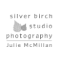 Silver Birch Studio logo, Silver Birch Studio contact details