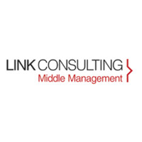 LINK CONSULTING PERU logo, LINK CONSULTING PERU contact details