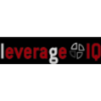 Leverage IQ Group (Germany, Spain) logo, Leverage IQ Group (Germany, Spain) contact details