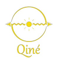 Qiné logo, Qiné contact details