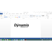 Dynamis Solutions LLC logo, Dynamis Solutions LLC contact details