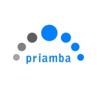 Priamba Soft LLC logo, Priamba Soft LLC contact details