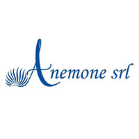 Anemone Srl logo, Anemone Srl contact details