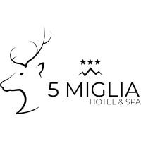 HOTEL 5 MIGLIA S.R.L. logo, HOTEL 5 MIGLIA S.R.L. contact details