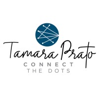 Connect The Dots LLC logo, Connect The Dots LLC contact details