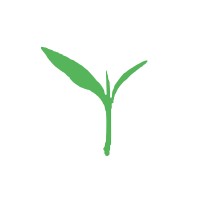 Sprouting STEM logo, Sprouting STEM contact details