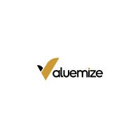 VALUEMIZE ENTERPRISE logo, VALUEMIZE ENTERPRISE contact details