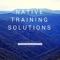 Native Training Solutions logo, Native Training Solutions contact details