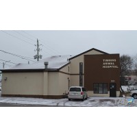 Timmins Animal Hospital logo, Timmins Animal Hospital contact details