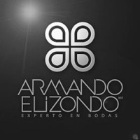 Grupo Armando Elizondo logo, Grupo Armando Elizondo contact details