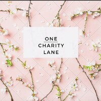 One Charity Lane LLC logo, One Charity Lane LLC contact details