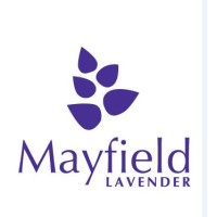 Mayfield Lavender logo, Mayfield Lavender contact details