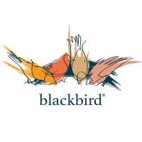 Blackbird House logo, Blackbird House contact details