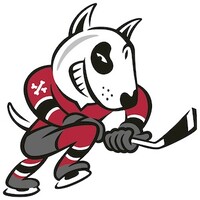 Niagara IceDogs Hockey Club logo, Niagara IceDogs Hockey Club contact details