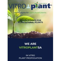 Vitroplant SA logo, Vitroplant SA contact details