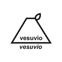 Vesuvio Eco S.r.l logo, Vesuvio Eco S.r.l contact details