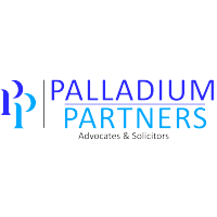 Palladium Partners logo, Palladium Partners contact details