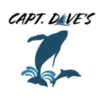 Captain Daves Dolphin and Whale Watching Safari logo, Captain Daves Dolphin and Whale Watching Safari contact details