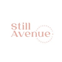 Still Avenue logo, Still Avenue contact details