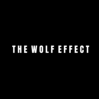 The Wolf Effect logo, The Wolf Effect contact details