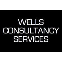 Wells Consultancy Services logo, Wells Consultancy Services contact details