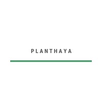 Planthaya Limited logo, Planthaya Limited contact details