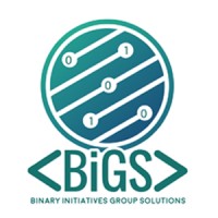 BiGS iT LiMiTED logo, BiGS iT LiMiTED contact details