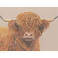 Red Cow Drawings logo, Red Cow Drawings contact details