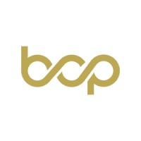 Boreas Capital Partners logo, Boreas Capital Partners contact details