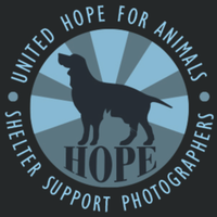 United Hope for Animals logo, United Hope for Animals contact details