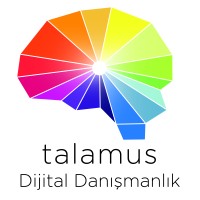 Talamus Digital Consultancy logo, Talamus Digital Consultancy contact details