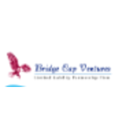 Bridge Cap Ventures LLP logo, Bridge Cap Ventures LLP contact details