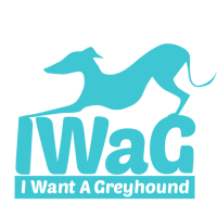 I Want A Greyhound (IWaG) Inc. logo, I Want A Greyhound (IWaG) Inc. contact details