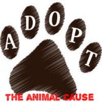 The Animal Cause logo, The Animal Cause contact details