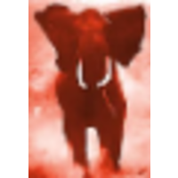 Red Elephant Investigations logo, Red Elephant Investigations contact details