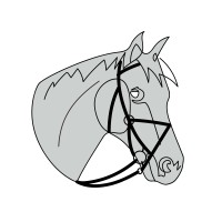 W.P. Equestrian, LLC logo, W.P. Equestrian, LLC contact details