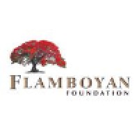 Flamboyan Foundation logo, Flamboyan Foundation contact details