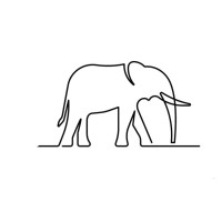 How Many Elephants - International Non-profit logo, How Many Elephants - International Non-profit contact details