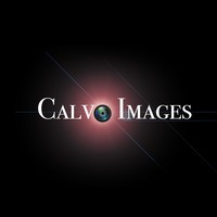 Calvo Images logo, Calvo Images contact details