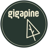 Gigapine Technology logo, Gigapine Technology contact details