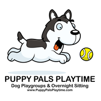 Puppy Pals Playtime - Dog Playgroups & Overnight Sitting logo, Puppy Pals Playtime - Dog Playgroups & Overnight Sitting contact details