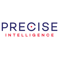 Precise Intelligence logo, Precise Intelligence contact details