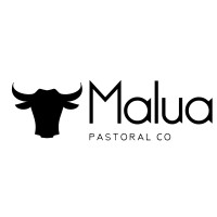 Malua Pastoral Co logo, Malua Pastoral Co contact details