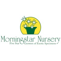 Morningstar Nursery logo, Morningstar Nursery contact details