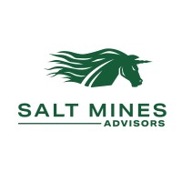 Salt Mines Advisors logo, Salt Mines Advisors contact details