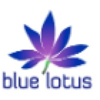 BlueLotus Advisory logo, BlueLotus Advisory contact details