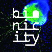 Bionicity logo, Bionicity contact details