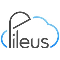 Pileus logo, Pileus contact details